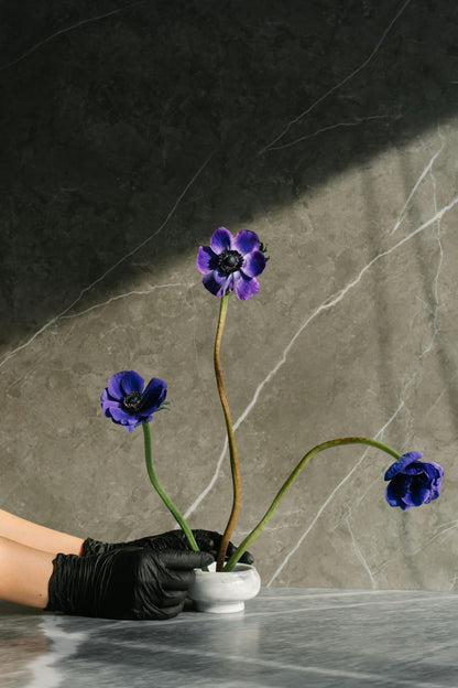 North Star Room Spray