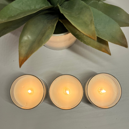 Three lit candles on a flat surface with a plant in the background