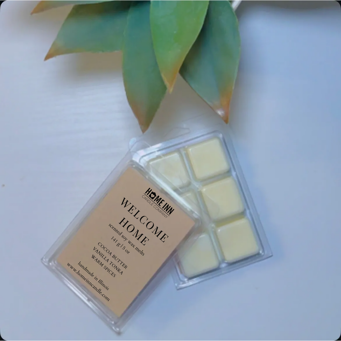 Wax Melt Subscription Box | 4 For $35