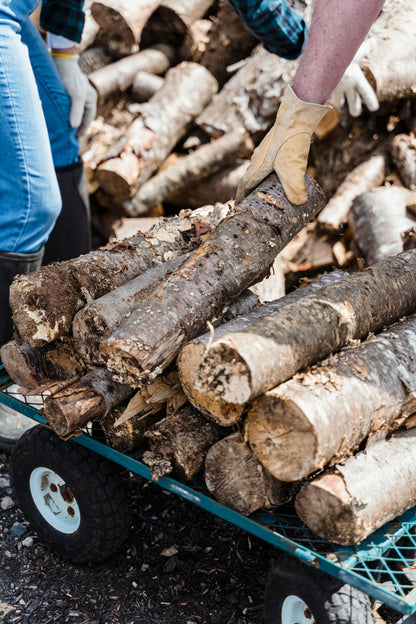 Fall Smoke and Campfires Wax Melt