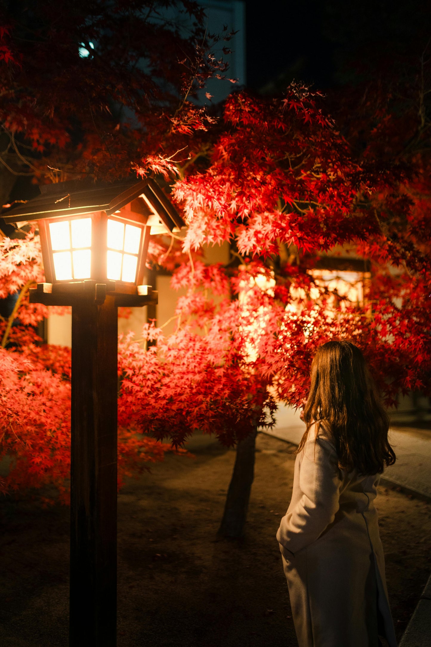 Autumn Night Wax Melt